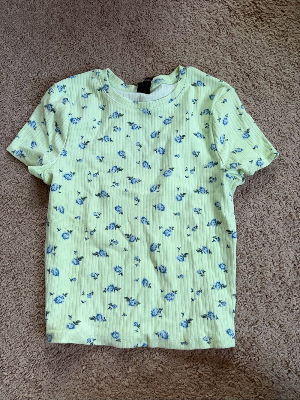 wild fable Light Yellow Ribbed Tee with Blue Floral Print
